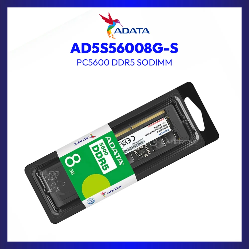 Adata 8GB DDR5 5600 SODIMM MEMORY AD5S56008G-S