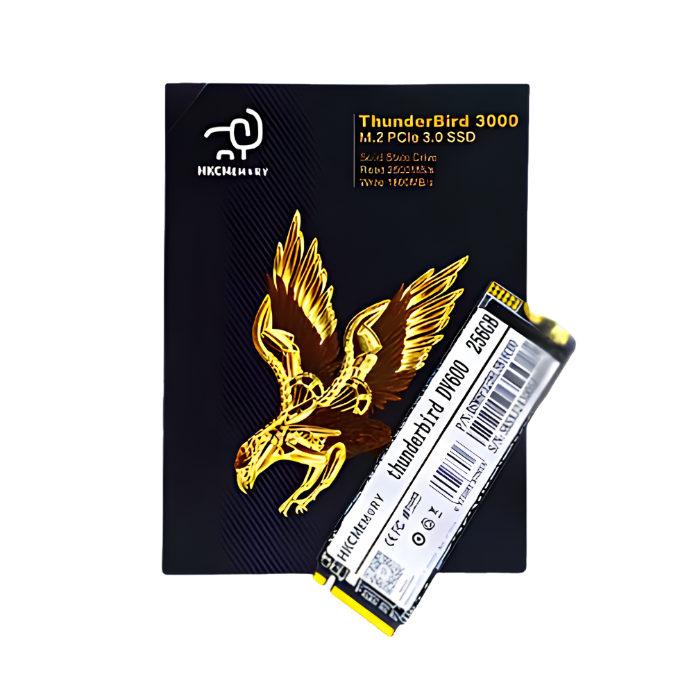 HKC THUNDERBIRD DV600 512GB M.2 NVMe PCIe 3.0 SSD